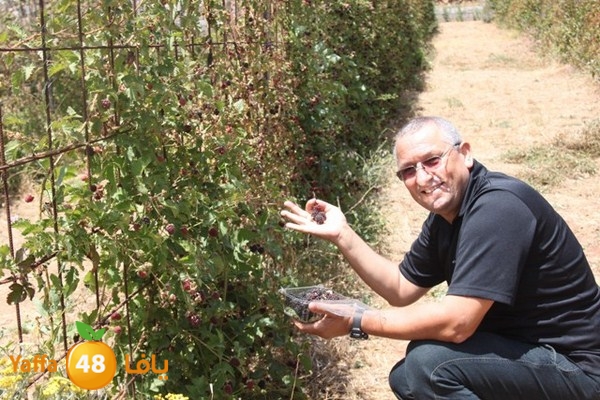 bayareq re7la shamal 0612 (95).JPG